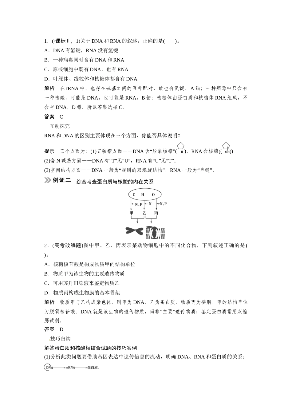 高考生物总复习 基础知识 1-1-4 遗传信息的携带者 核酸 细胞中的糖类和脂质 考点1 核酸的结构和功能及与蛋白质的关系（510考）新人教版必修1_第3页