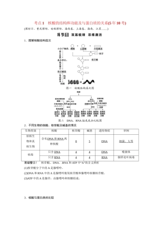 高考生物总复习 基础知识 1-1-4 遗传信息的携带者 核酸 细胞中的糖类和脂质 考点1 核酸的结构和功能及与蛋白质的关系（510考）新人教版必修1