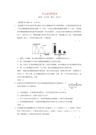 高考生物一轮复习 单元滚动检测4 浙科版