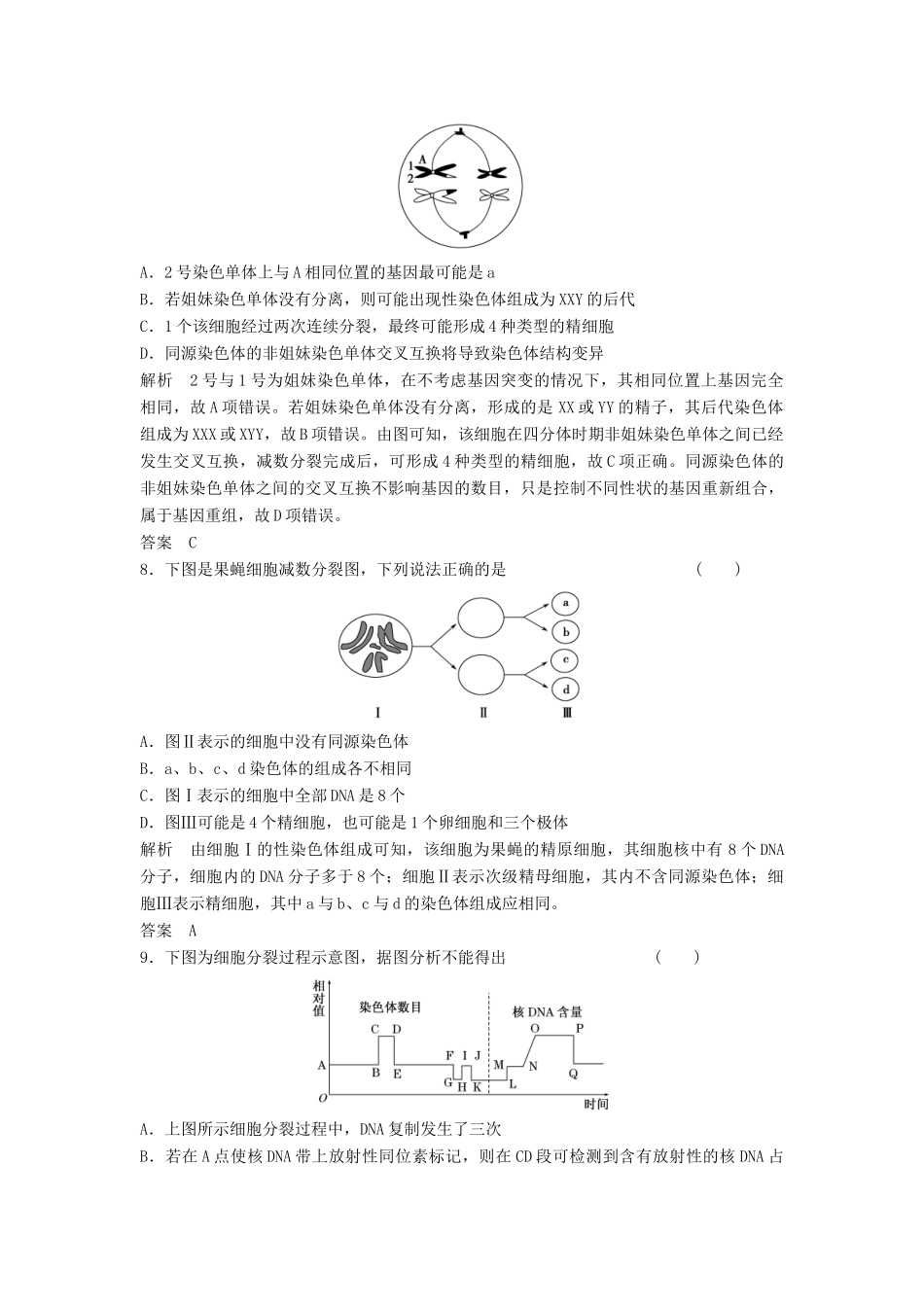 高考生物总复习 1-3 减数分裂和受精作用 新人教版必修2_第3页