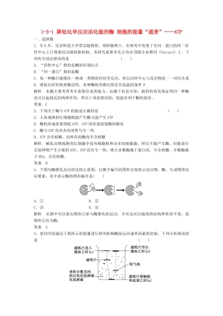 高考生物总复习 3-1 降低化学反应活化能的酶 细胞的能量“通货”ATP 新人教版必修1