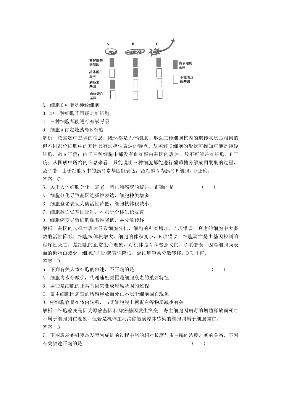 高考生物总复习 4-2 细胞的分化、衰老和凋亡、癌变 新人教版必修1_第2页