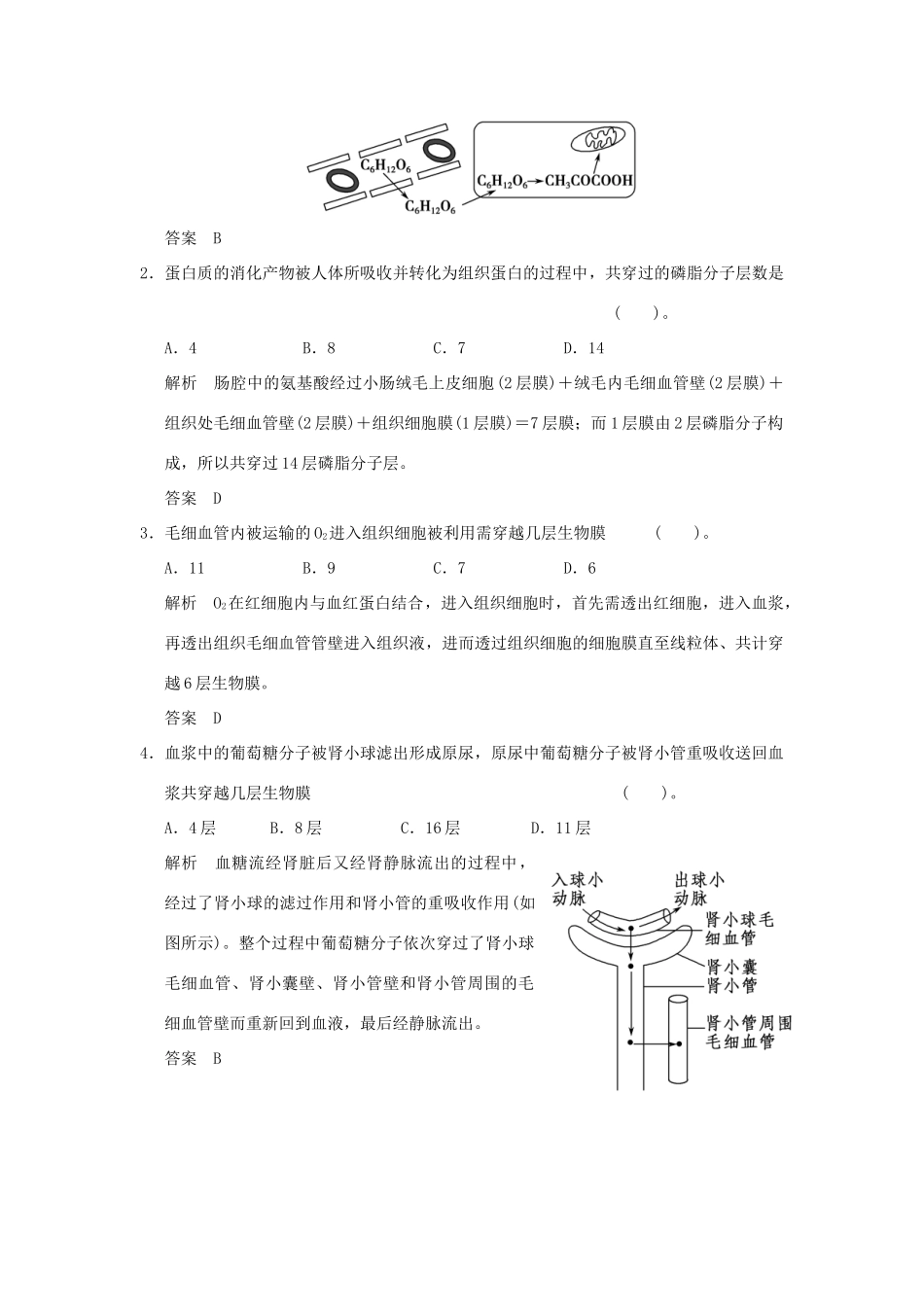 高考生物 培优讲堂 物质在血浆、组织液等内环境与细胞之间的跨膜分析 新人教版必修3_第3页