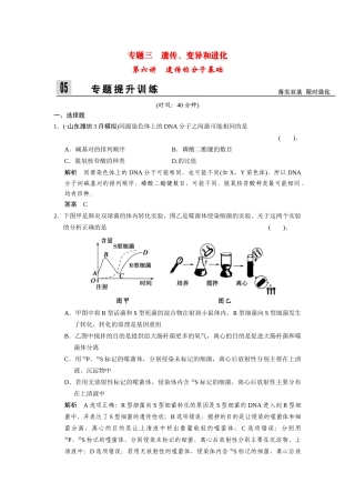 高三生物二轮新题提升训练 第六讲 遗传的分子基础（含13真题，含详解）