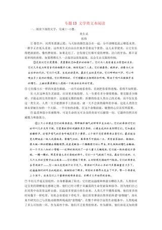 高考语文冲刺押题专题预测系列 专题13 文学类文本阅读