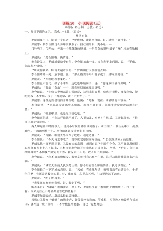 高考语文一轮复习 训练20 小说阅读(三)