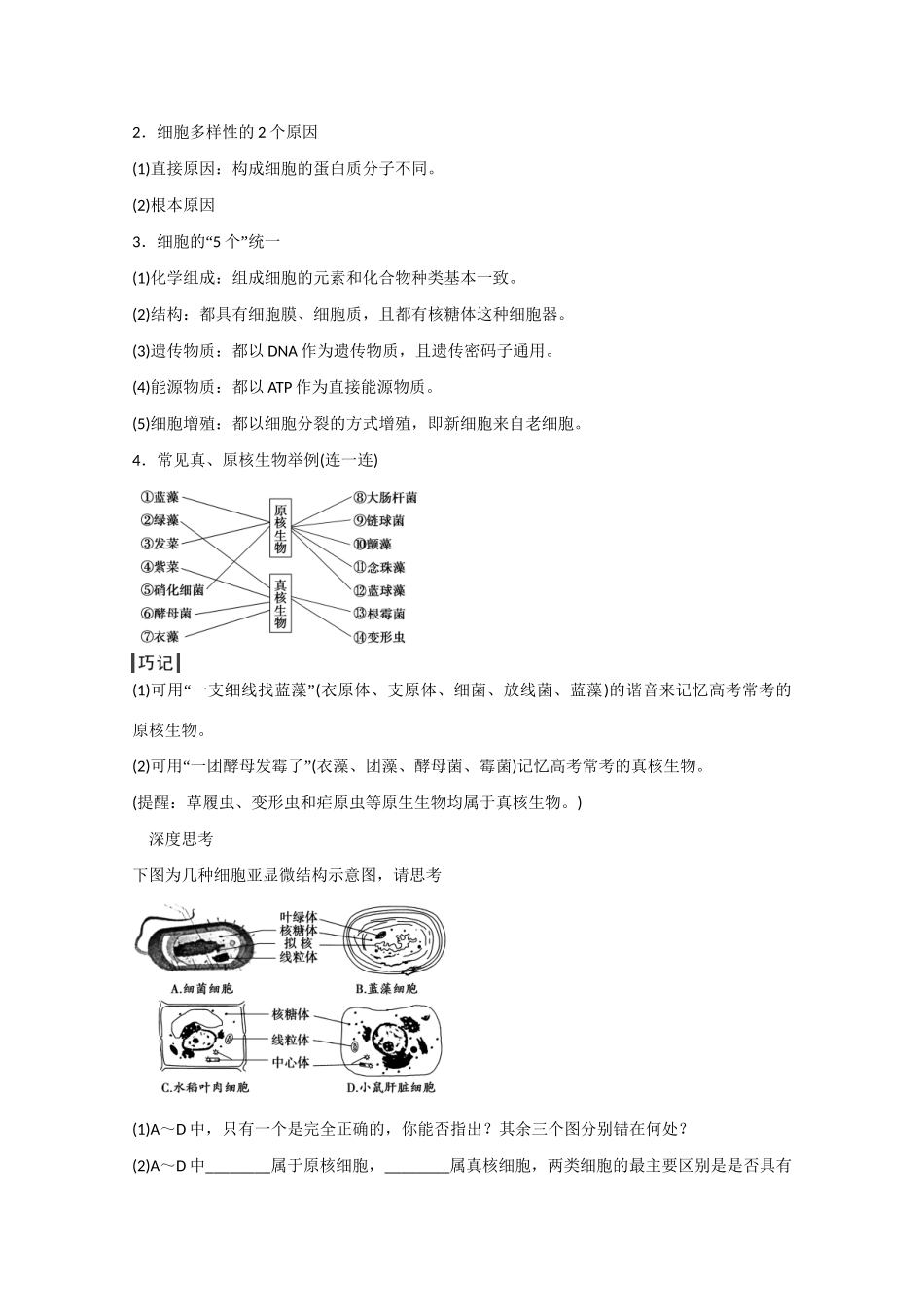 高三生物一轮复习 基础课时案1　借助显微镜走近细胞基础回顾 新人教版_第2页