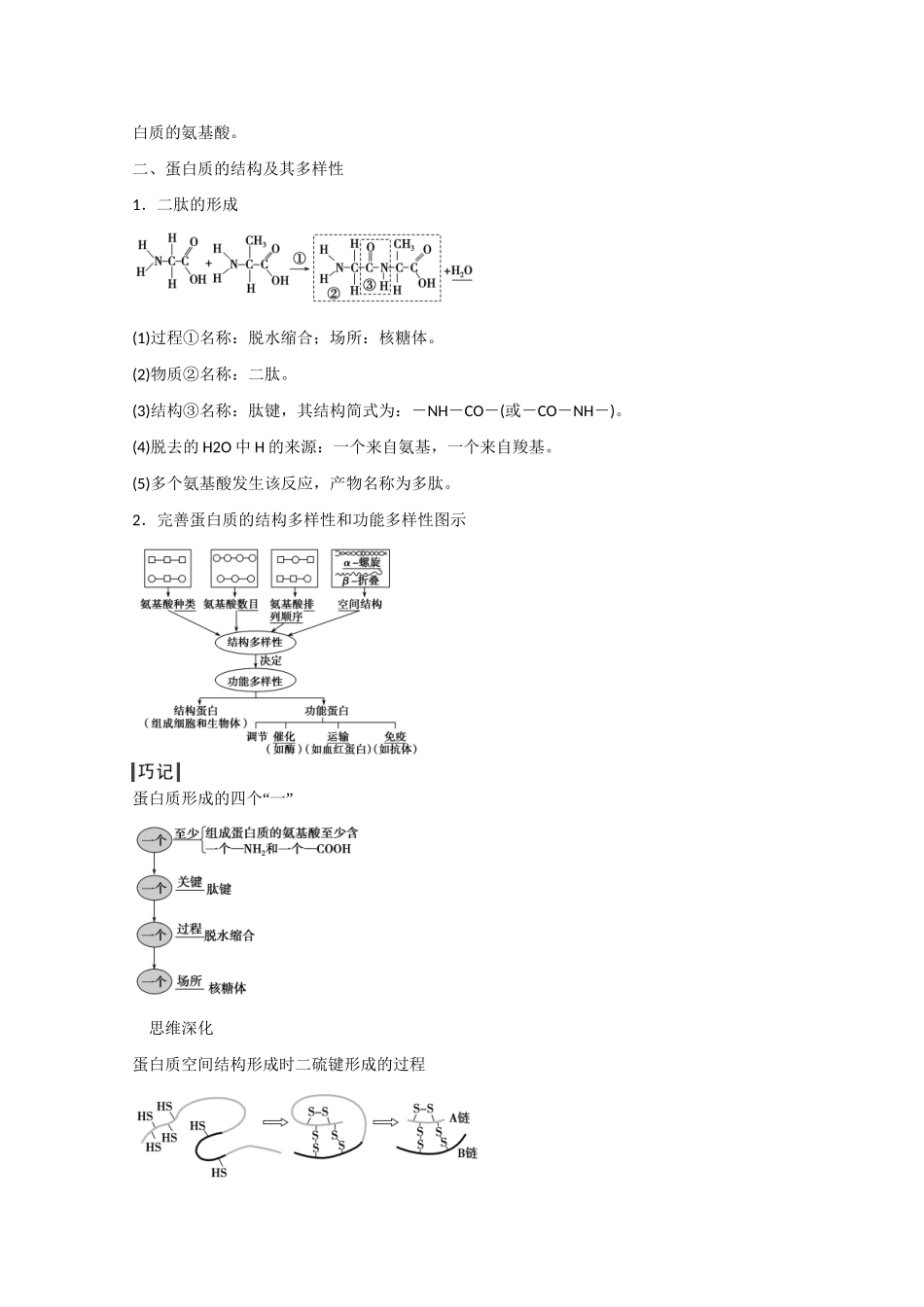 高三生物一轮复习 基础课时案3　生命活动的主要承担者 蛋白质基础回顾 新人教版_第3页