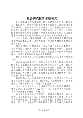 2024年社会实践报告总结范文