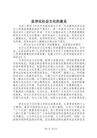 2024年县净化社会文化的意见