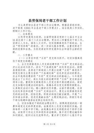 2024年县劳保局老干部工作计划