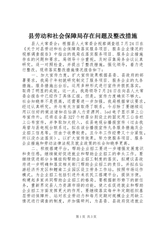 2024年县劳动和社会保障局存在问题及整改措施