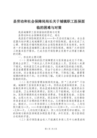 2024年县劳动和社会保障局局长关于城镇职工医保面临的困难与对策