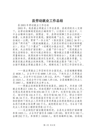 2024年县劳动就业工作总结