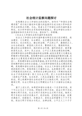 2024年社会统计监察问题探讨