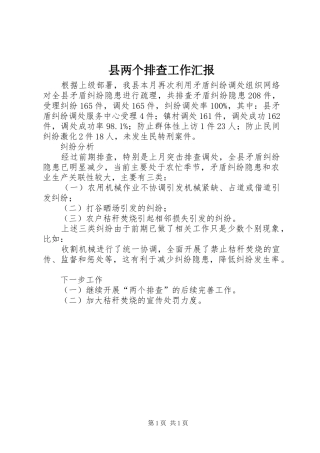 2024年县两个排查工作汇报