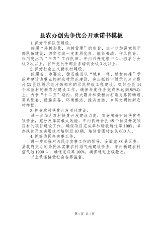 2024年县农办创先争优公开承诺书模板