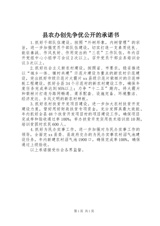2024年县农办创先争优公开的承诺书