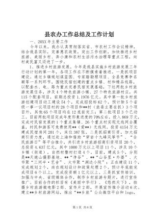 2024年县农办工作总结及工作计划