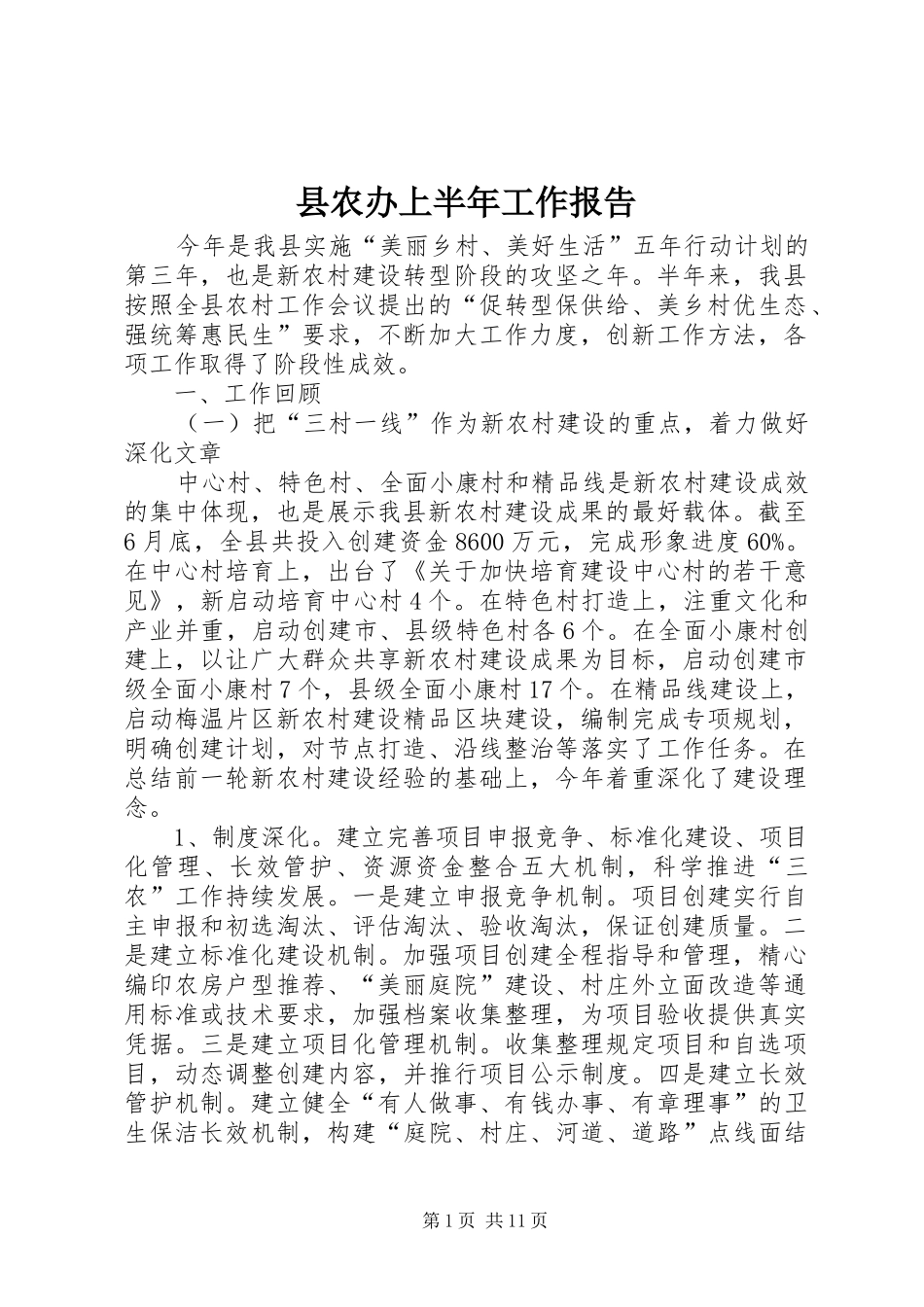 2024年县农办上半年工作报告_第1页