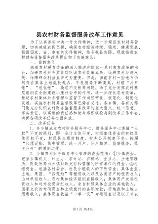 2024年县农村财务监督服务改革工作意见