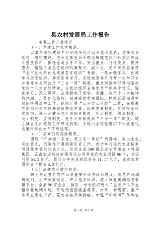 2024年县农村发展局工作报告