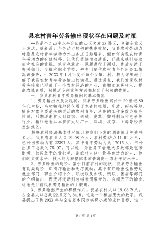2024年县农村青年劳务输出现状存在问题及对策