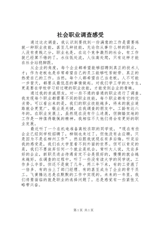 2024年社会职业调查感受
