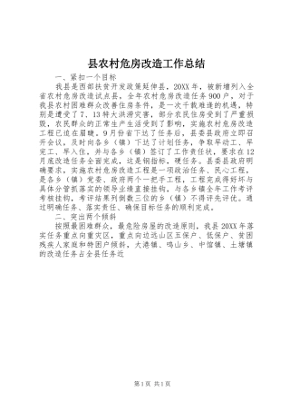 2024年县农村危房改造工作总结