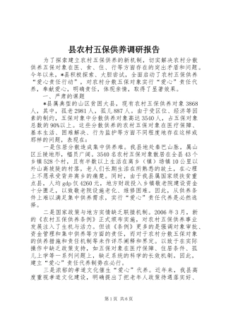 2024年县农村五保供养调研报告