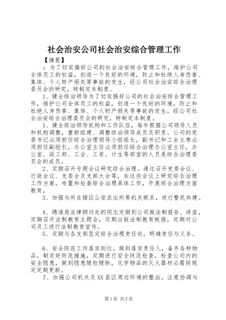 2024年社会治安公司社会治安综合管理工作