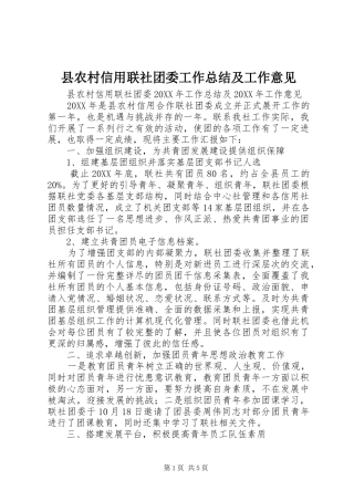 2024年县农村信用联社团委工作总结及工作意见