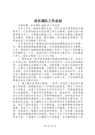 2024年县农调队工作总结