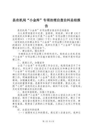 2024年县农机局小金库专项治理自查自纠总结报告