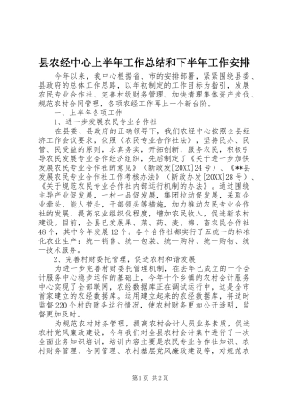 2024年县农经中心上半年工作总结和下半年工作安排