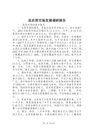 2024年县农贸市场发展调研报告