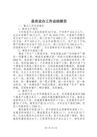 2024年县农业办工作总结报告