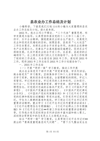 2024年县农业办工作总结及计划