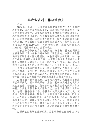 2024年县农业农村工作总结范文