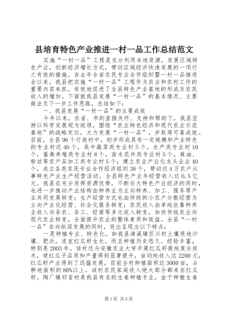 2024年县培育特色产业推进一村一品工作总结范文