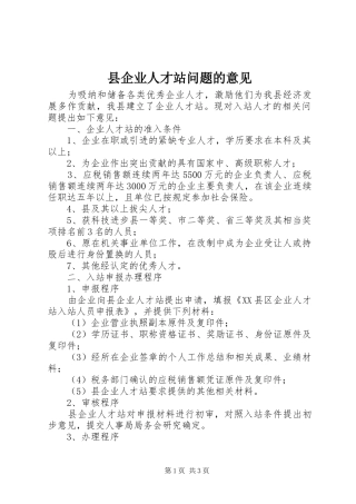 2024年县企业人才站问题的意见