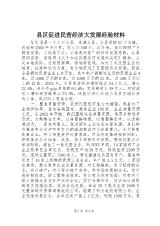 2024年县区促进民营经济大发展经验材料