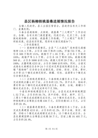 2024年县区杨柳核桃蚕桑进展情况报告