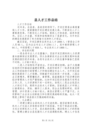 2024年县人才工作总结