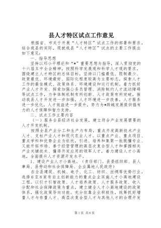 2024年县人才特区试点工作意见