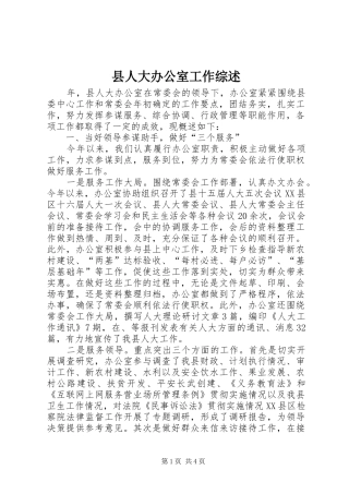 2024年县人大办公室工作综述