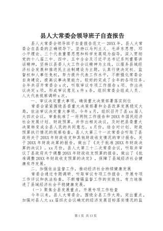 2024年县人大常委会领导班子自查报告