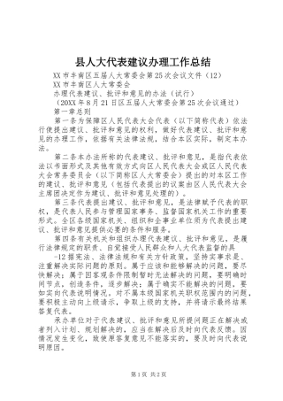 2024年县人大代表建议办理工作总结