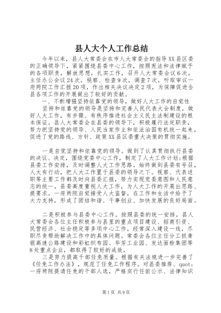 2024年县人大个人工作总结