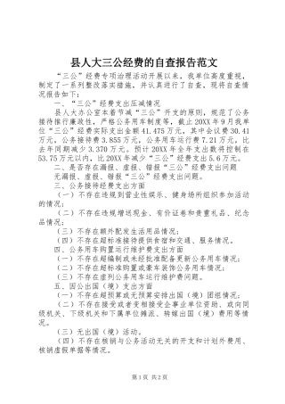 2024年县人大三公经费的自查报告范文